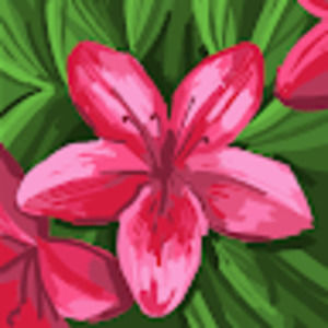 Meet your Posher, Ella